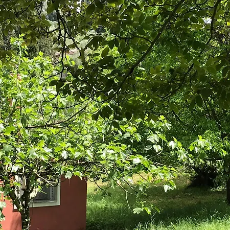 George's House Διαμέρισμα *